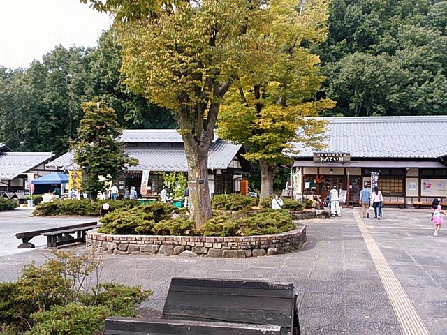 少し遠めです_道の駅 みのかも