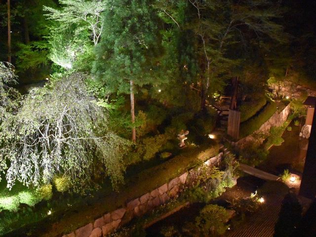 湯の花温泉 宿の裏山_湯の花温泉