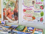 usaさんのくだもの狩りの投稿写真1