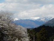 w-masaさんの能郷白山(岐阜県揖斐川町)の投稿写真2