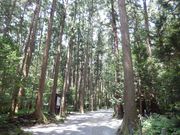 まりんばさんの彌彦神社社叢の投稿写真1