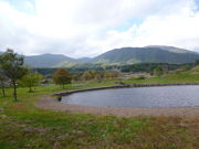 taroさんのなかやま花の郷公園の投稿写真1