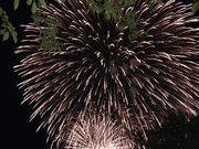 こゆさんの小郡運動公園の投稿写真1