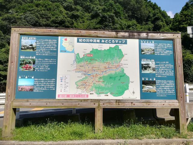 周辺みどころマップ_道の駅 根来さくらの里