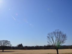 国営昭和記念公園の写真1