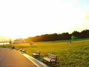 メイさんの葛西海浜公園の投稿写真1
