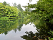 仏像さんの雲場池の投稿写真1