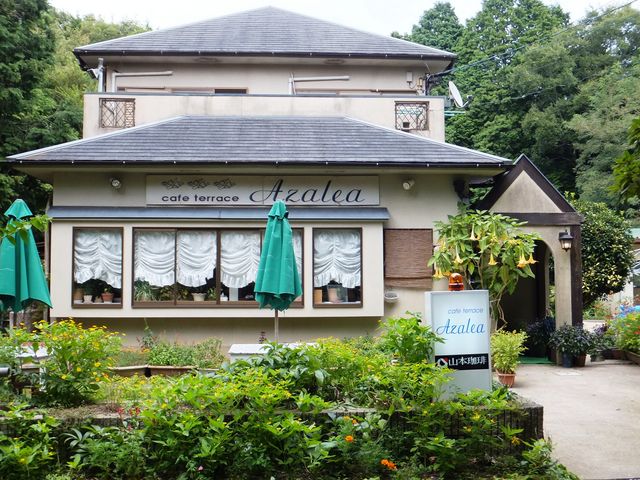 店先には丹精込めた花々が_アゼリア