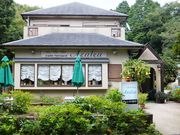 こぼらさんのアゼリアの投稿写真1