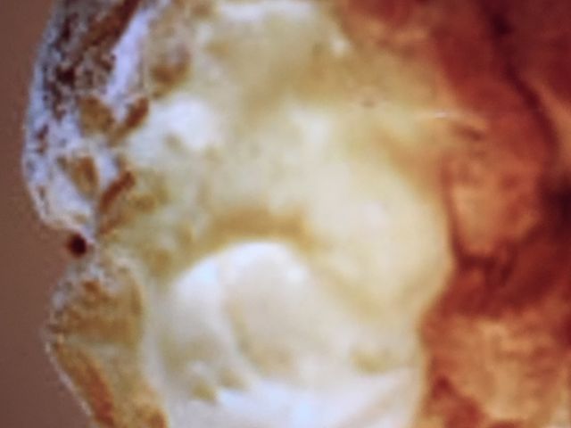シュークリーム_ビアード・パパ イオンモール大日店(Beard Papa)