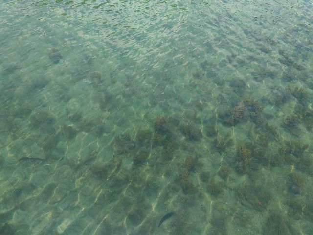 マリさんの竹ヶ島の投稿写真1