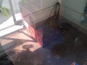 いけいけさんの西海橋物産館・魚魚の宿 魚魚市場の投稿写真2