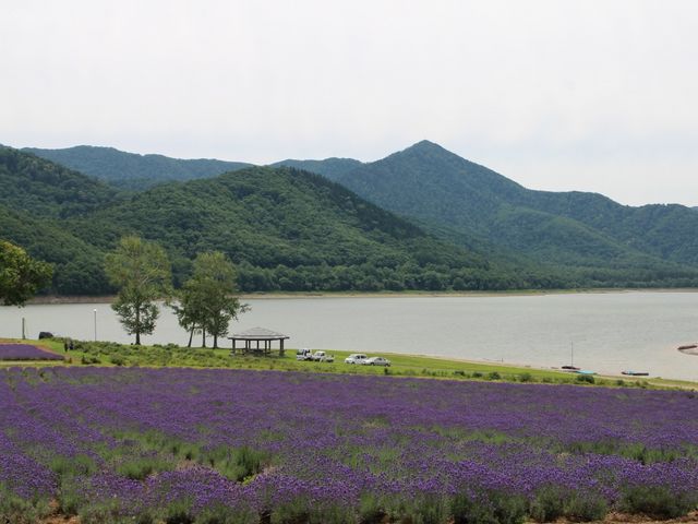 湖畔_かなやま湖