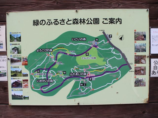 案内板_緑のふるさと森林公園