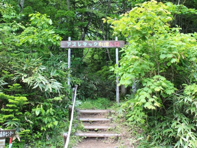 豊かな自然_緑のふるさと森林公園