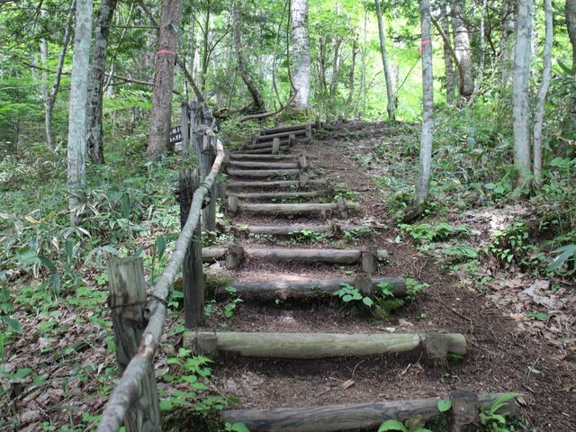 急階段_緑のふるさと森林公園
