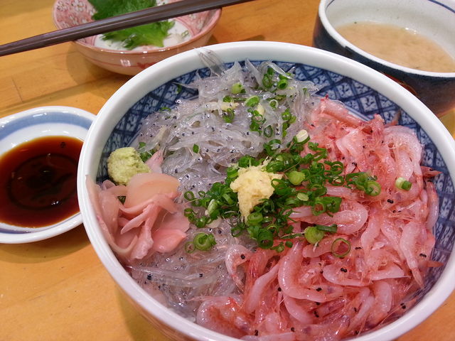 生さくらえびと生しらす丼_まぐろ山水