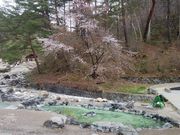たまごさんの西の河原の投稿写真1