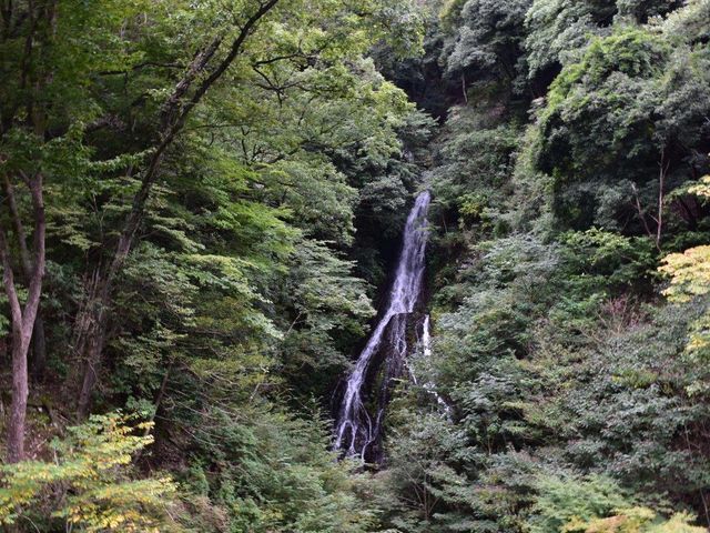 大沢の滝_大沢の滝