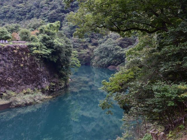 大沢の滝の左横で水が流れ込みます_大沢の滝