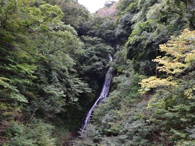 大沢の滝_大沢の滝