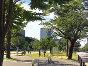 きぬきぬさんの中野四季の森公園の投稿写真1