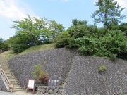 キヨさんの足柄古道の投稿写真3