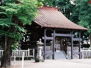 芽衣さんの白鳥神社の社叢の投稿写真1