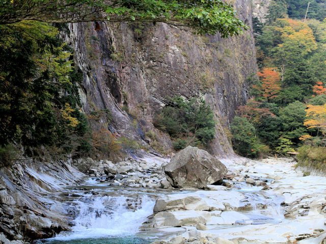 亀腹石下の渓流_面河渓