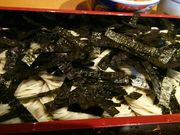 おがわさんのわたや平沢店の投稿写真1