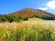 ポン助さんの桝水高原の紅葉の投稿写真3