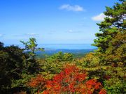 ポン助さんの桝水高原の紅葉の投稿写真4
