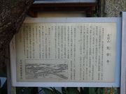 ponちゃんさんの総寧寺の投稿写真2