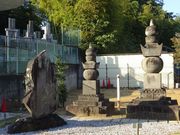 ponちゃんさんの総寧寺の投稿写真5