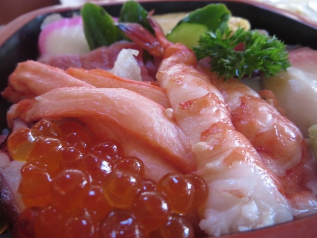 上ちらし
_磯善