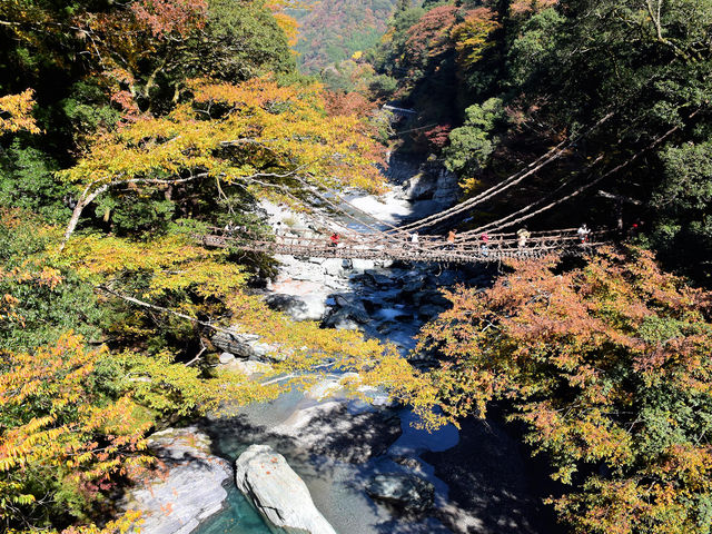 かずら橋_祖谷のかずら橋