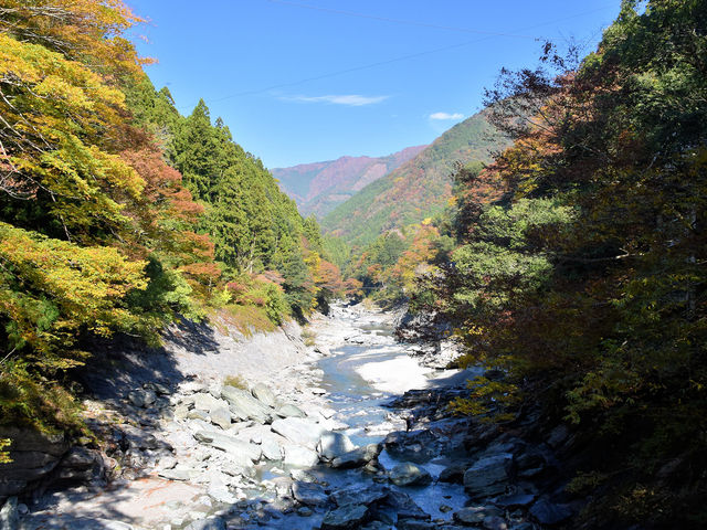 かずら橋上から_祖谷のかずら橋