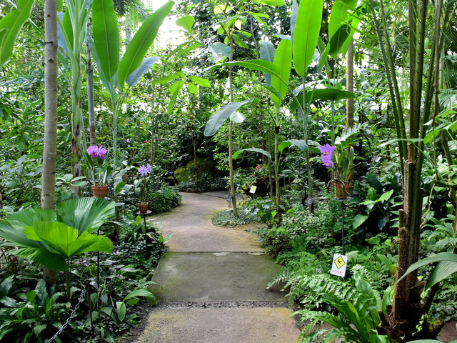 牧野植物園_高知県立牧野植物園