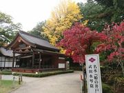 菊ちゃんさんの武田神社の投稿写真4