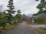 菊ちゃんさんの甲斐善光寺の投稿写真2