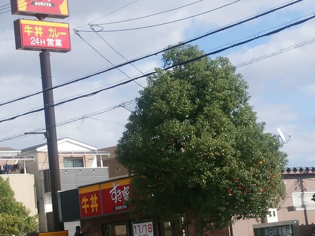 すき家_すき家 東園田店