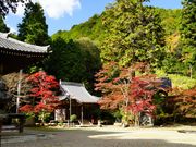 おったんさんの西林寺の投稿写真1