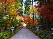 おったんさんの西林寺の投稿写真2