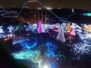 リッキーさんの遊園地よみうりランドの投稿写真1
