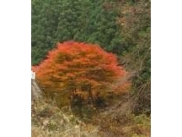 よっしーさんの五色渓谷の投稿写真1