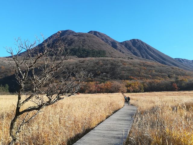 秋のよそおい_長者原自然研究路