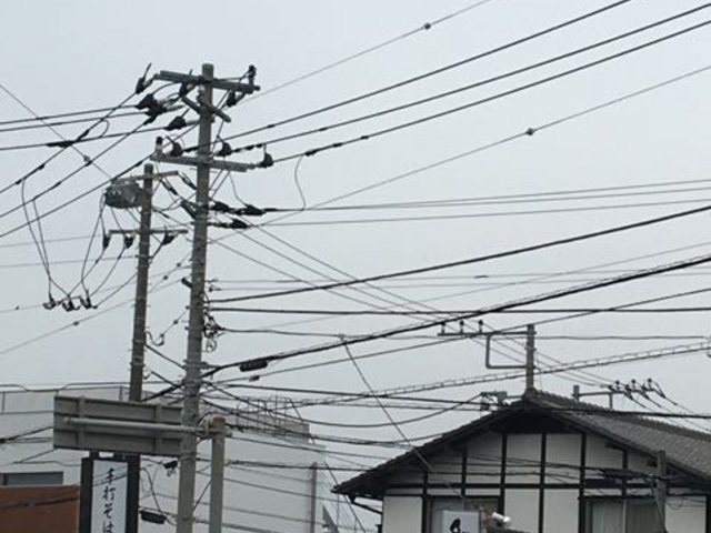 駐車場も完備です_蕎麦司 紅がら