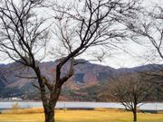 Happyさんの小海公園の投稿写真1
