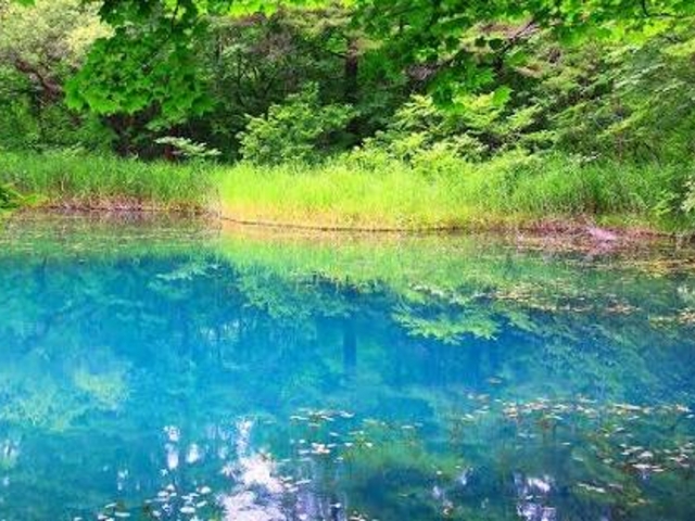 レナさんの五色沼の投稿写真1