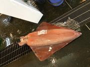 都子さんの若狭小浜お魚センターの投稿写真2